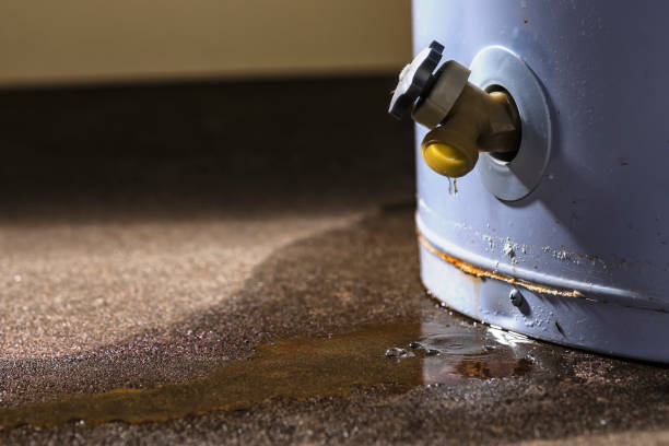 Best Professional water damage repair  in Washington, WV