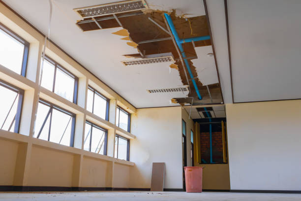 Best Flood damage cleanup  in Washington, WV