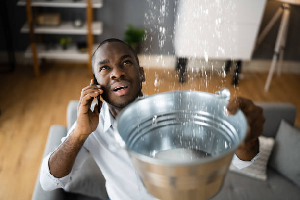Best Local water damage restoration  in Washington, WV