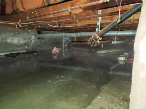 Best Sewage cleanup and water damage restoration  in Washington, WV