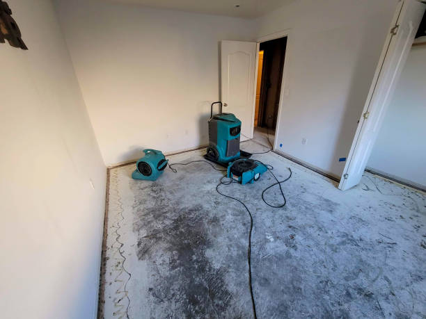 Best Ceiling water damage repair  in Washington, WV