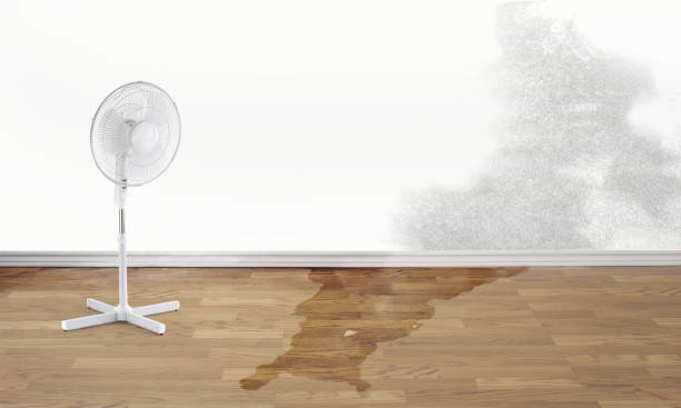 Best 24/7 water damage repair  in Washington, WV