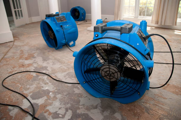 Best Sewage cleanup and water damage restoration  in Washington, WV