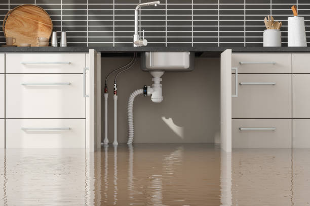 Best Flooded house restoration  in Washington, WV
