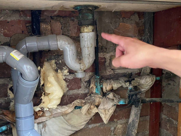 Best Mold removal after water damage  in Washington, WV
