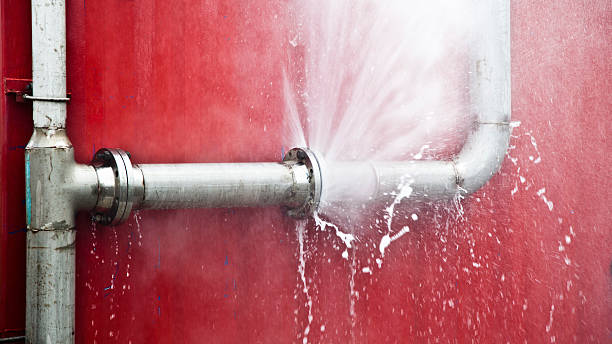 Best Water damage restoration near me  in Washington, WV